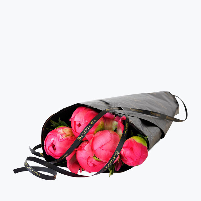 5 stk Coral Charm peoner
